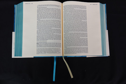Zondervan Artisan Collection Bible margin notes