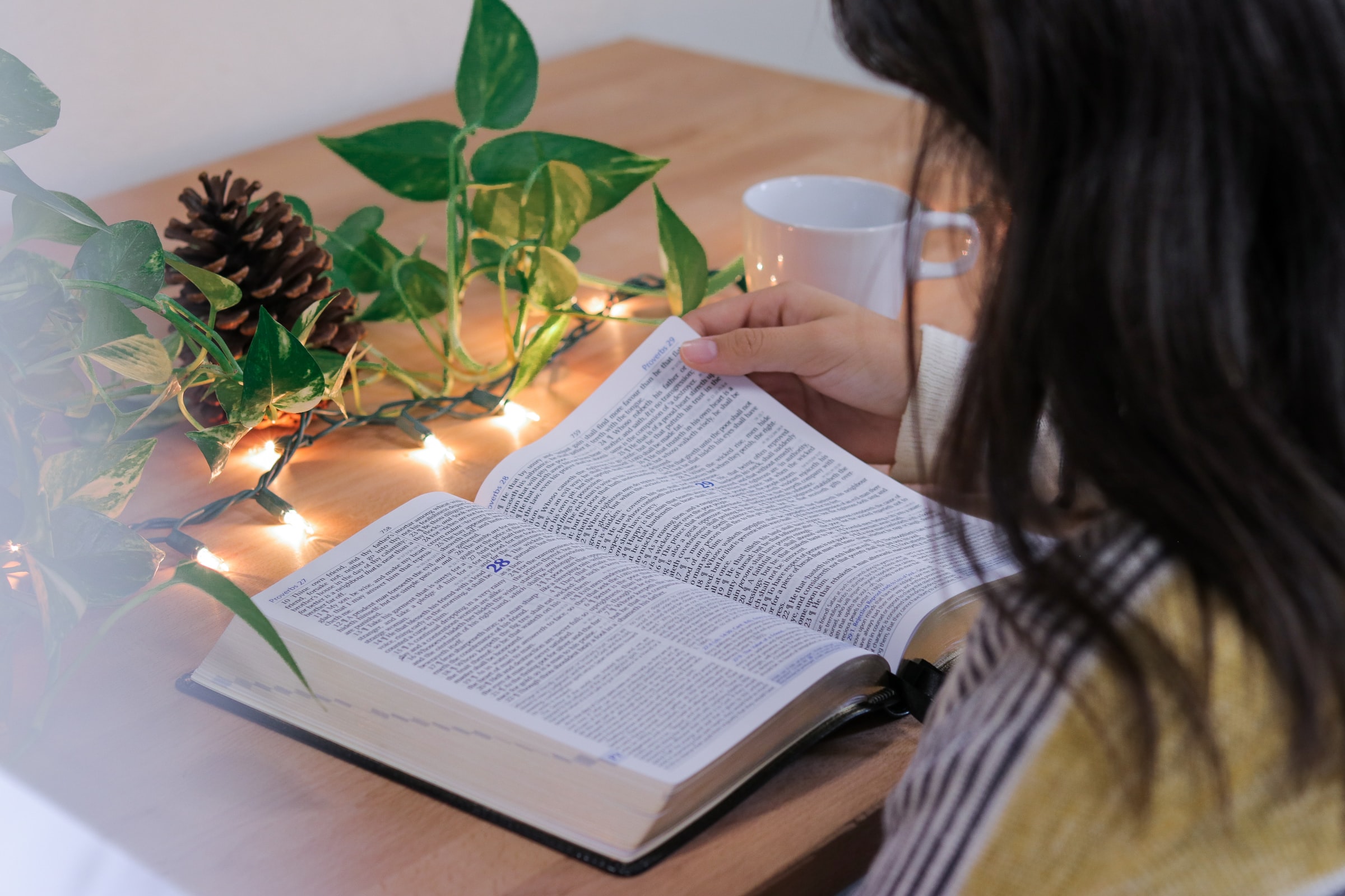 Reading the Bible